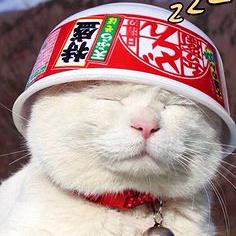 殲星艦企小業